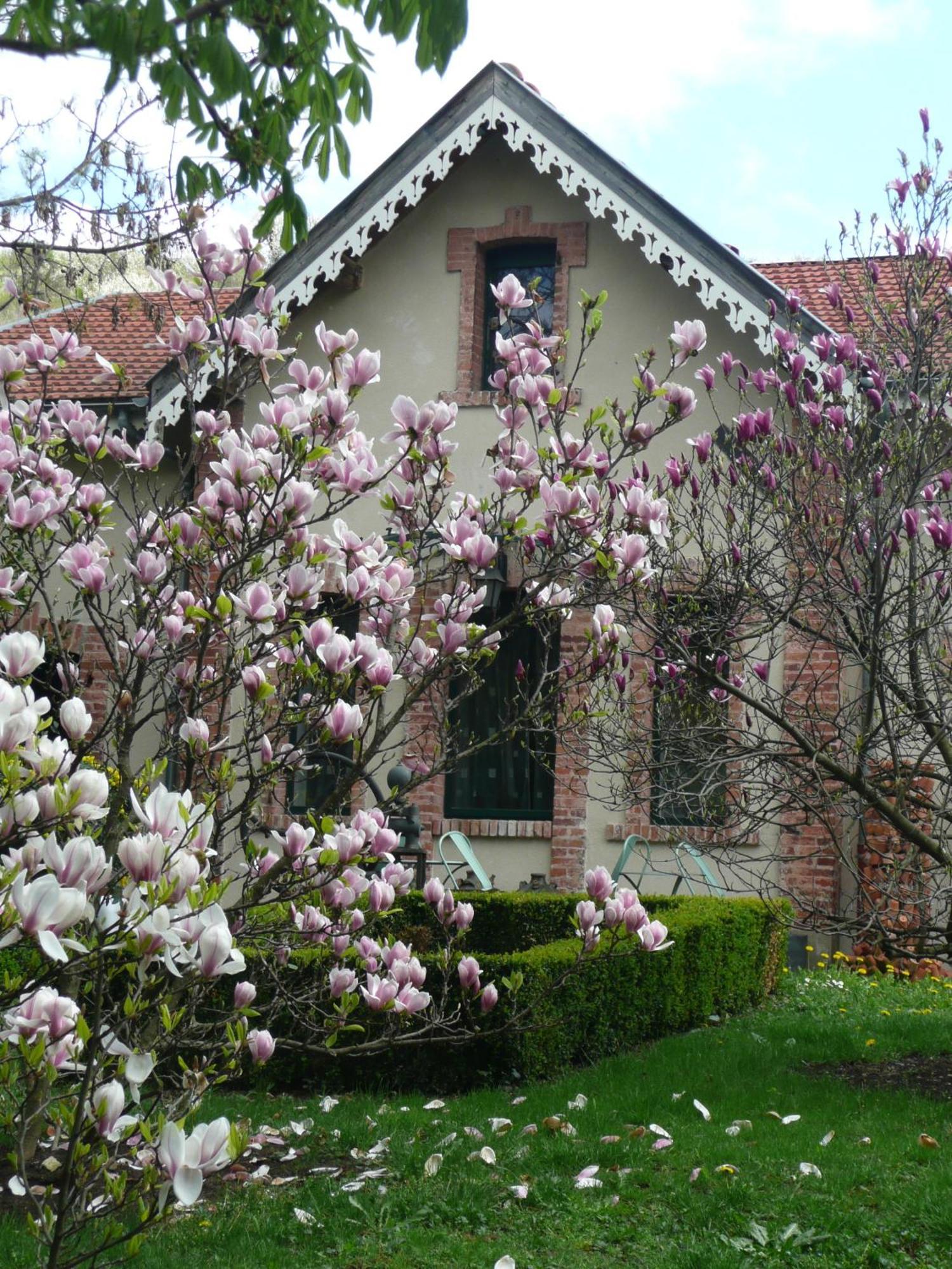Bed and Breakfast Au Fond De La Cour Veyre-Monton Exterior foto
