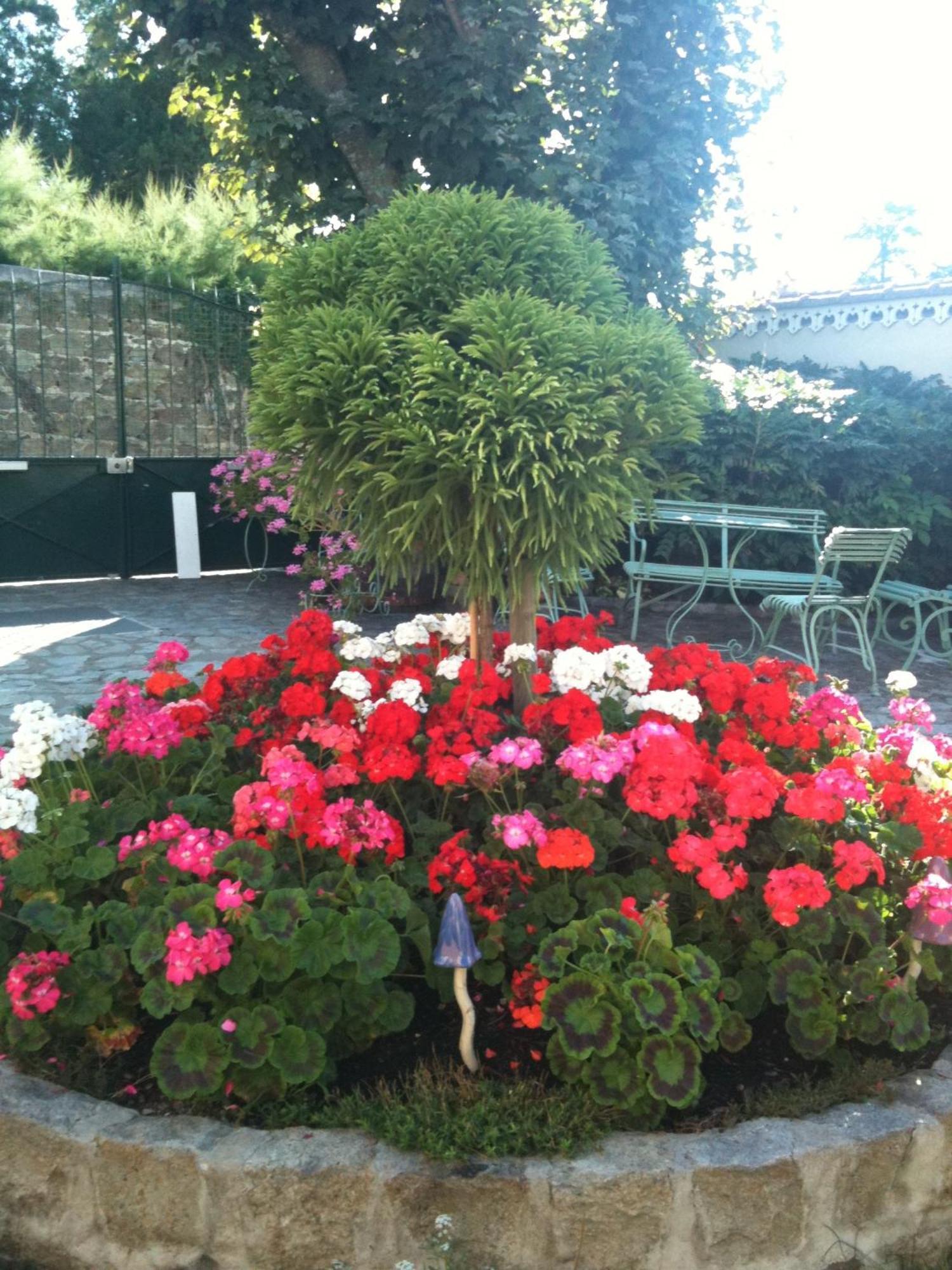Bed and Breakfast Au Fond De La Cour Veyre-Monton Exterior foto